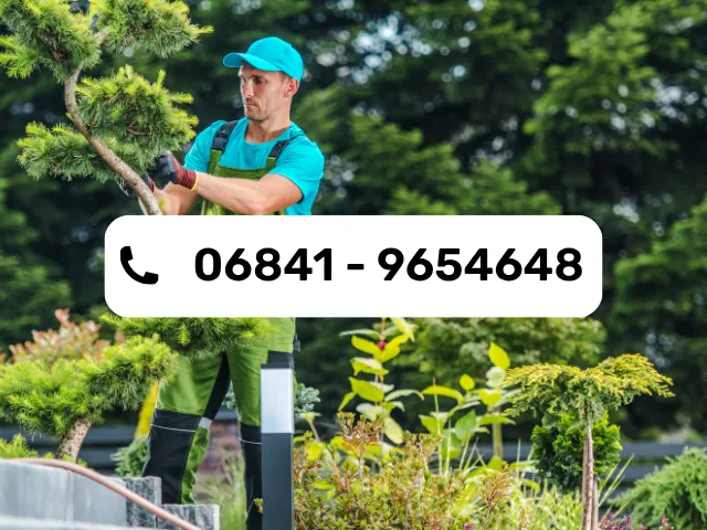 anyhelpnow