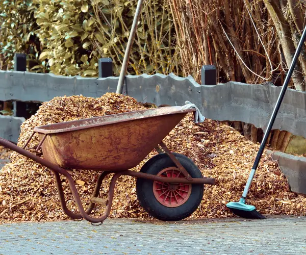 Rostiger Schubkarren mit Laub