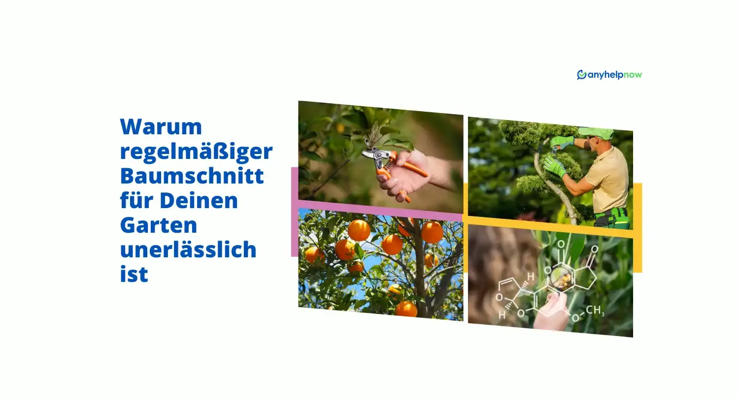 Warum regelmäßiger Baumschnitt für Deinen Garten unerlässlich ist