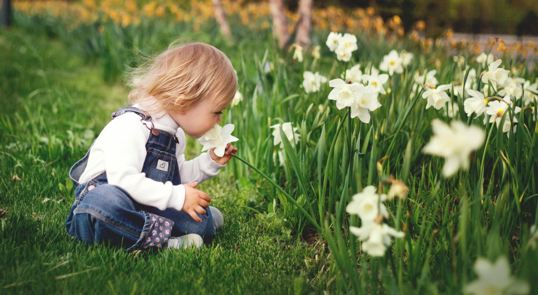 ein Kleinkind riecht im Garten sitzend an einer Blume