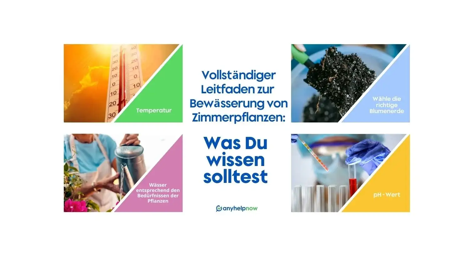 Vollständiger Leitfaden zur Bewässerung von Zimmerpflanzen: Was Du wissen solltest