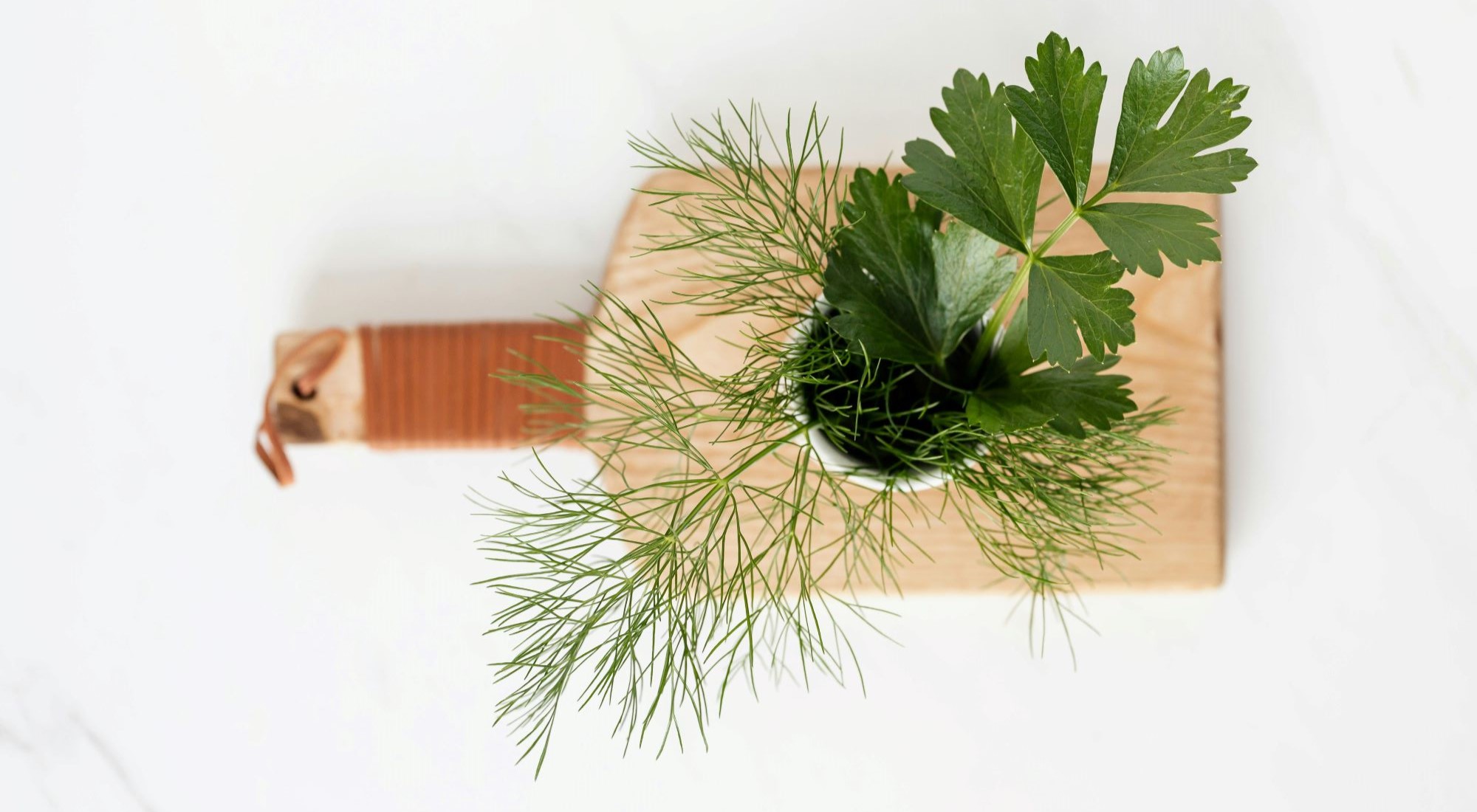 Dill