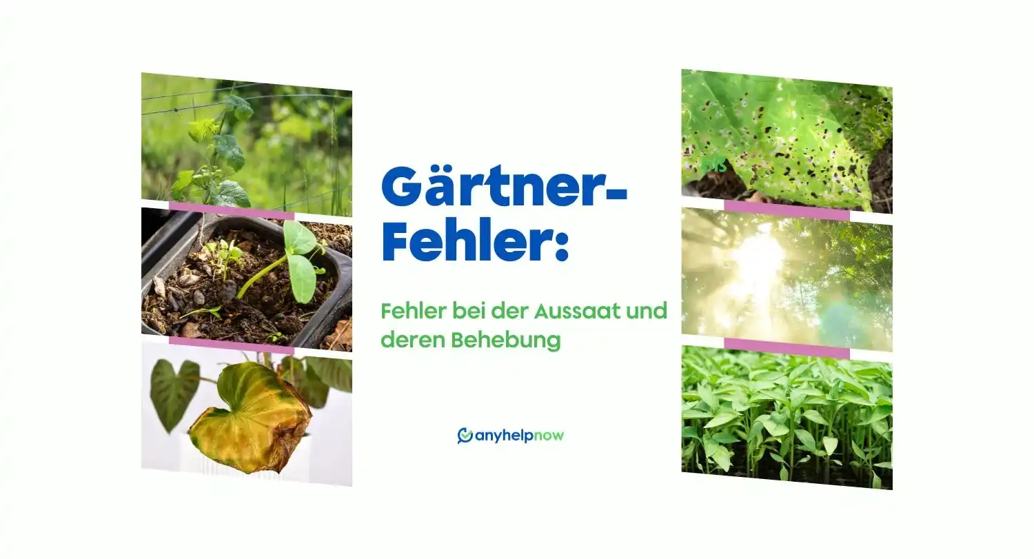 Gärtner-Fehler: Fehler bei der Aussaat und deren Behebung