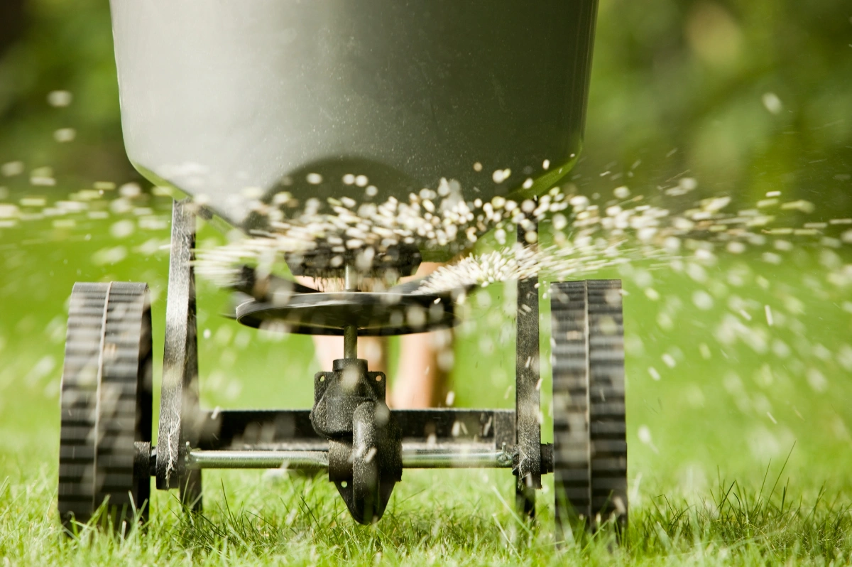 Wann den Garten düngen? Der komplette Zeitplan für optimales Pflanzenwachstum