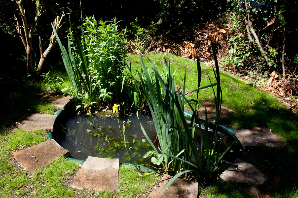 Geniale Gartengestaltung Ideen für Kleine Gärten: Maximale Wirkung auf wenig Raum