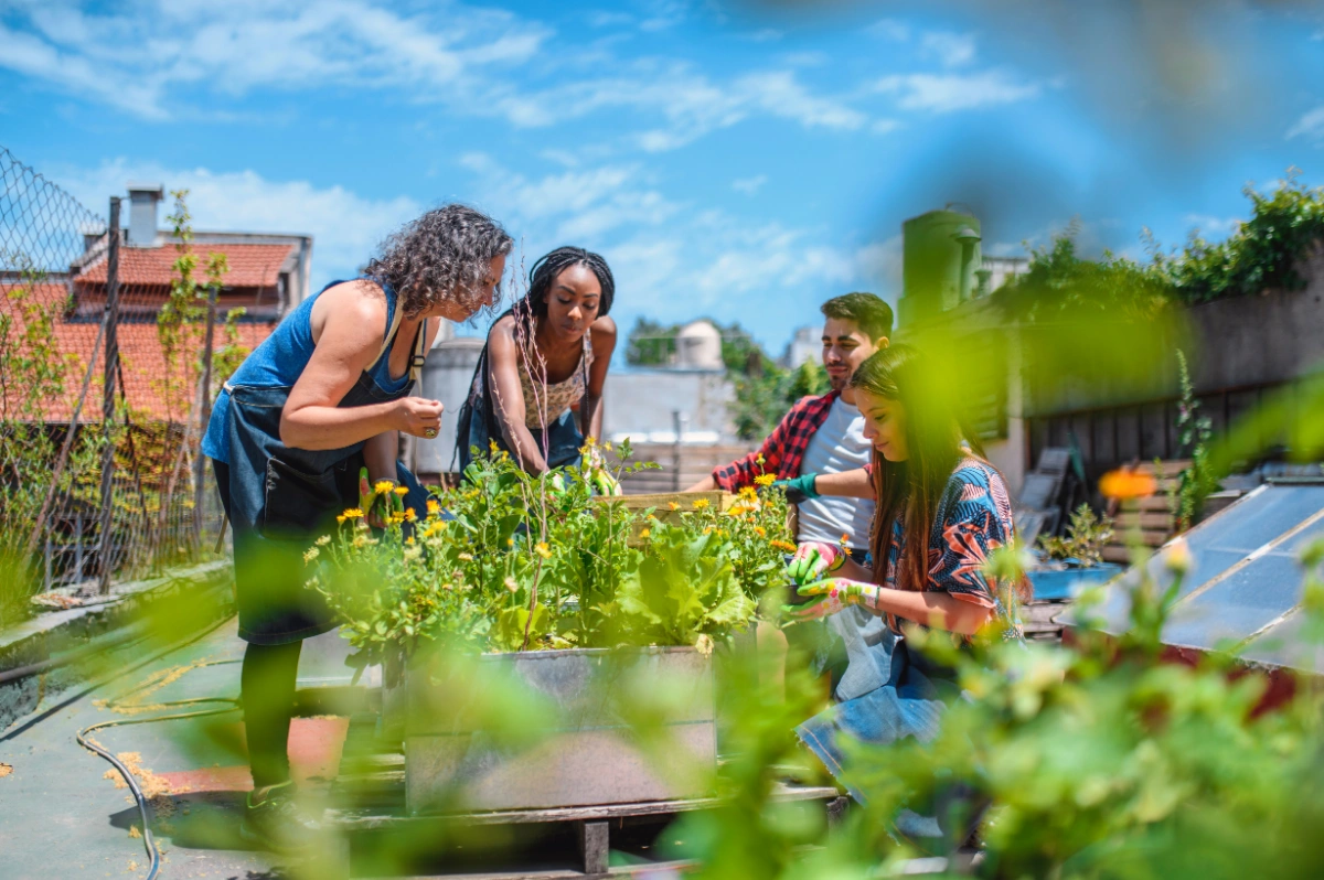 Urban Gardening für Anfänger: In 7 Schritten zum eigenen Stadtgarten