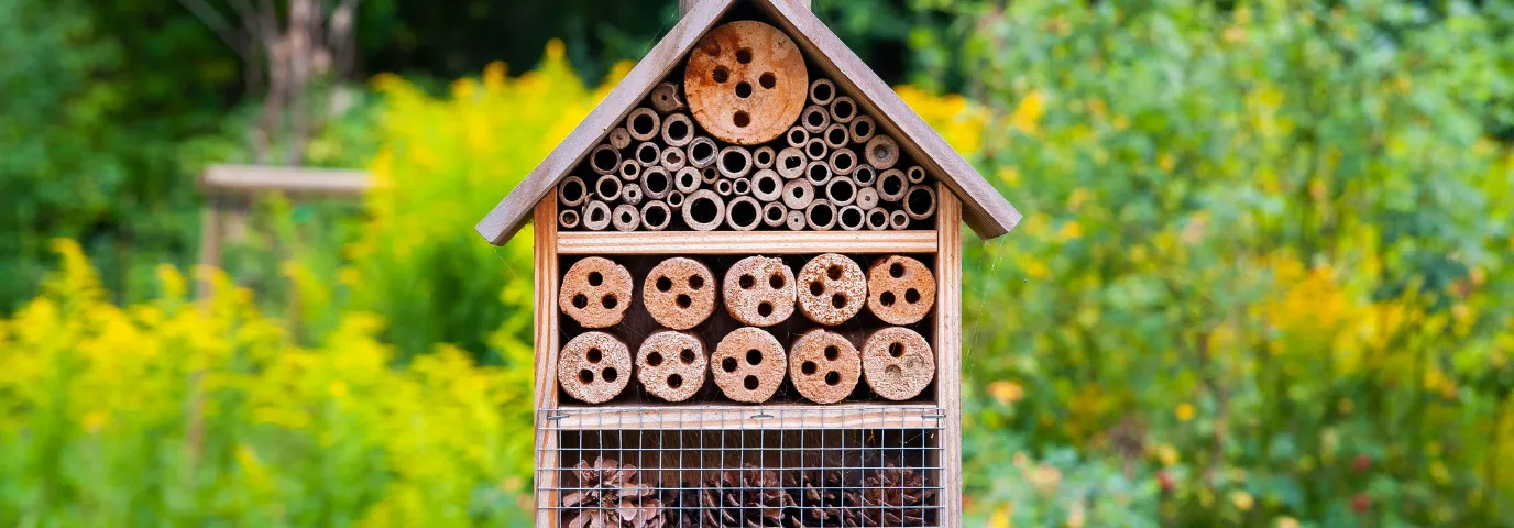Insektenhotel bauen: Komplette Anleitung & Wartung 2025
