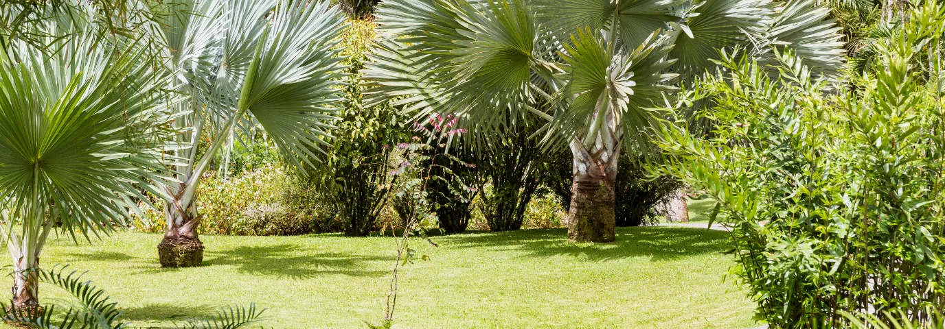 Mikroklima Garten schaffen: 7 Profi-Tipps für optimales Gartenklima