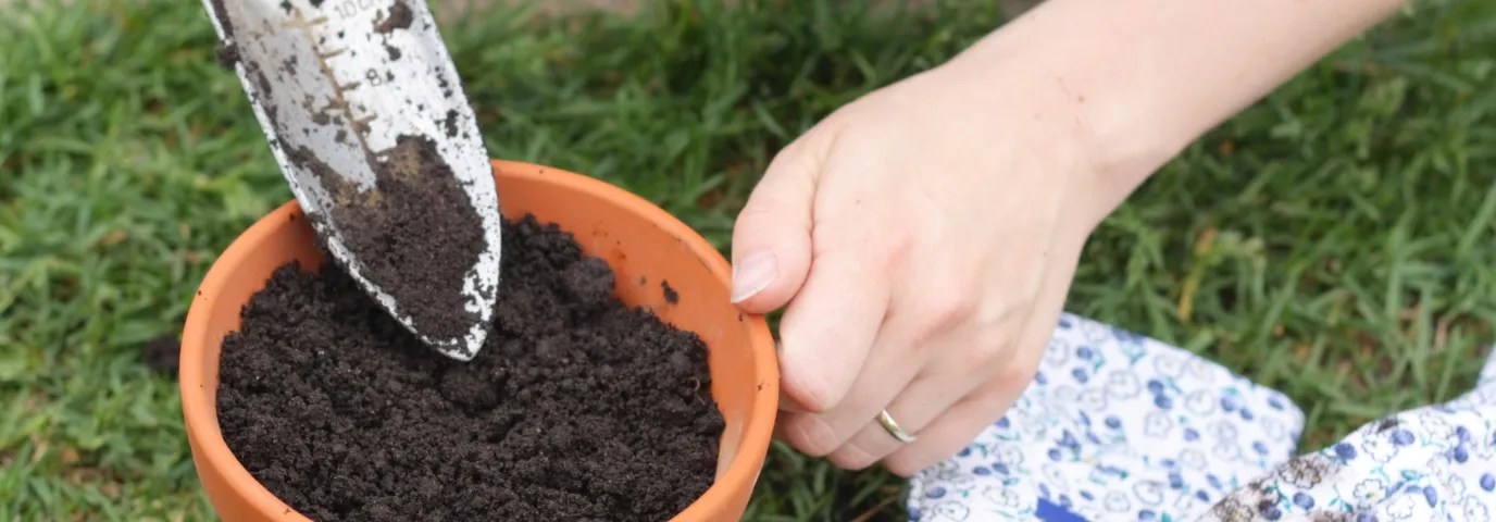 Alte Blumenerde wiederverwenden: So machst Du sie fruchtbar
