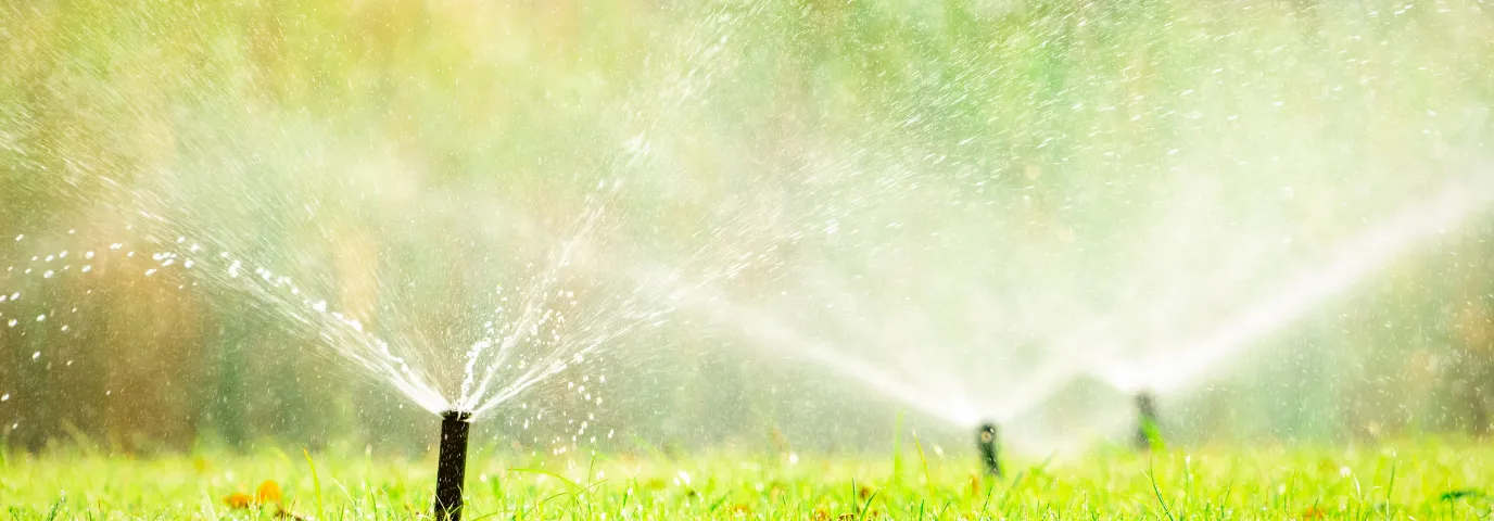 Automatische Bewässerung für den Garten selber bauen: DIY-Anleitung