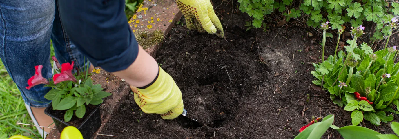 Bodenverbesserung Garten: Praktische Anleitung für gesunden Boden