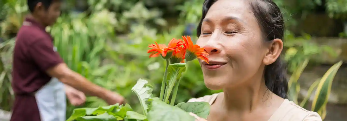 Duftgarten gestalten: So schaffen Sie ein Paradies für alle Sinne