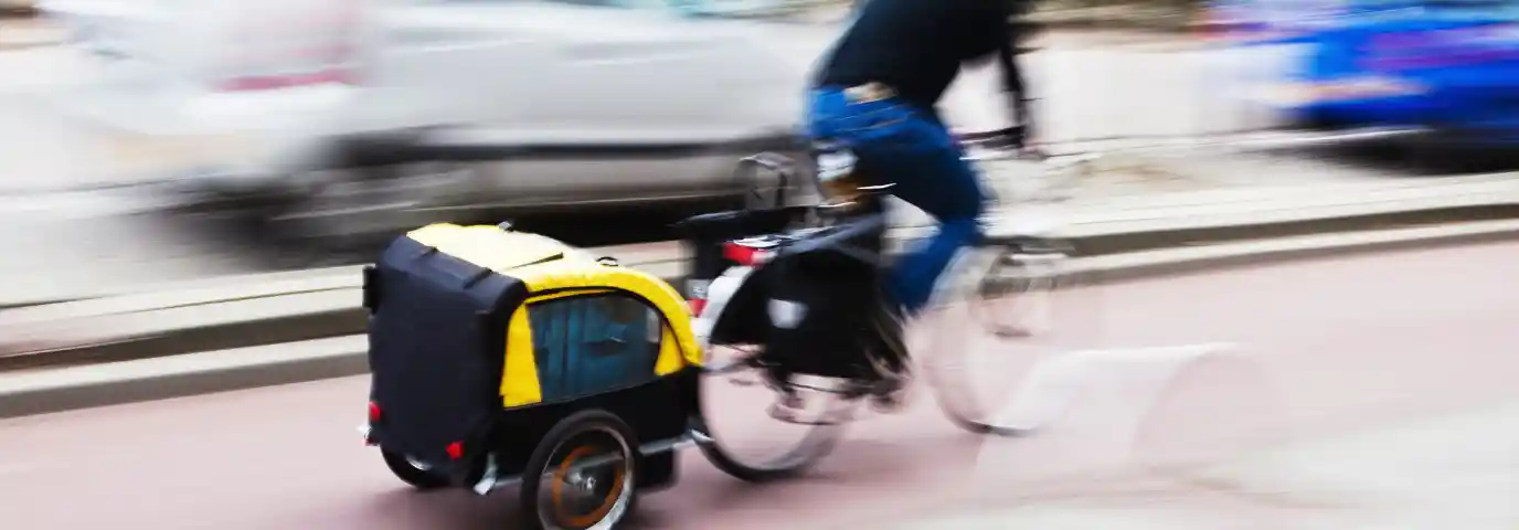 Fahrradanhänger Vergleich 2025: Test & Kaufberatung für Kinder, Gepäck & Hunde