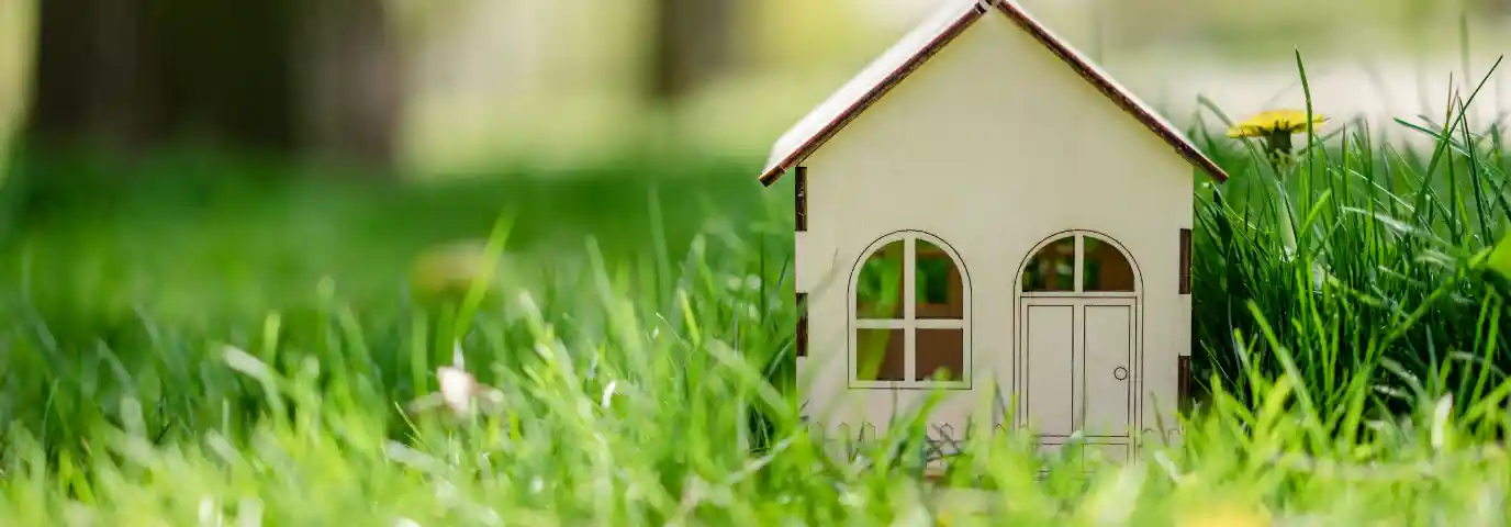 Gartenhaus bepflanzen: So wird Ihr Häuschen zum grünen Blickfang