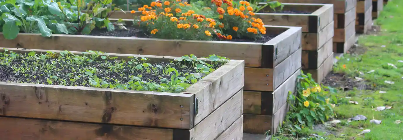 Hochcontainer Garten: Anleitung für Urban Gardening auf Dach & Balkon
