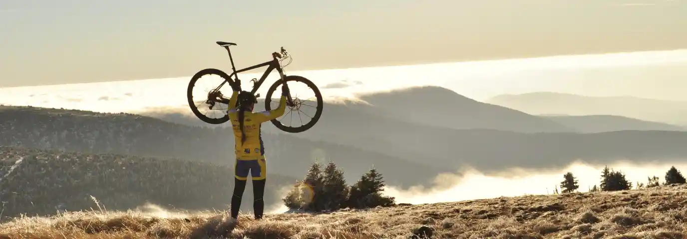 Mountainbike vs Trekkingrad: Welches Fahrrad ist das Richtige für Dich?
