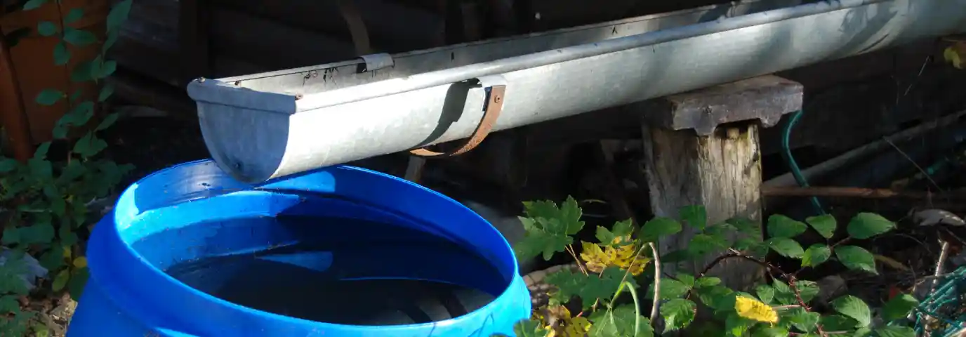 Regenwassernutzung im Garten: Effektiv sammeln & sparen