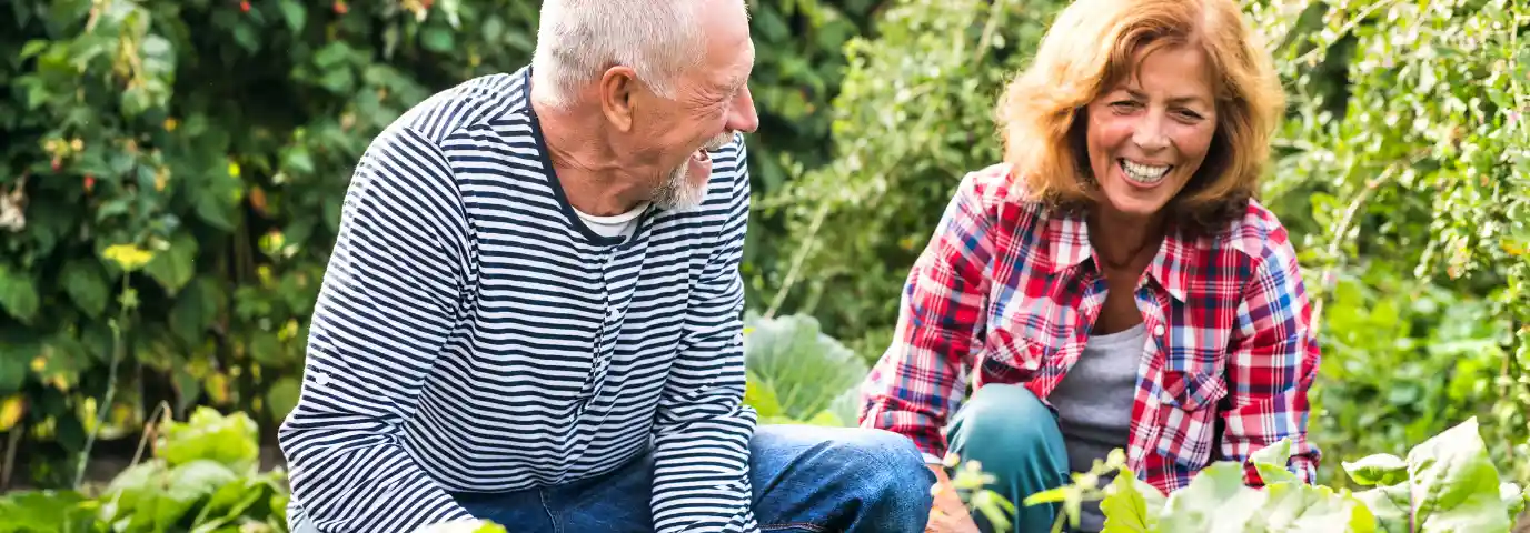 Seniorengarten gestalten: Barrierefreie & pflegeleichte Lösungen