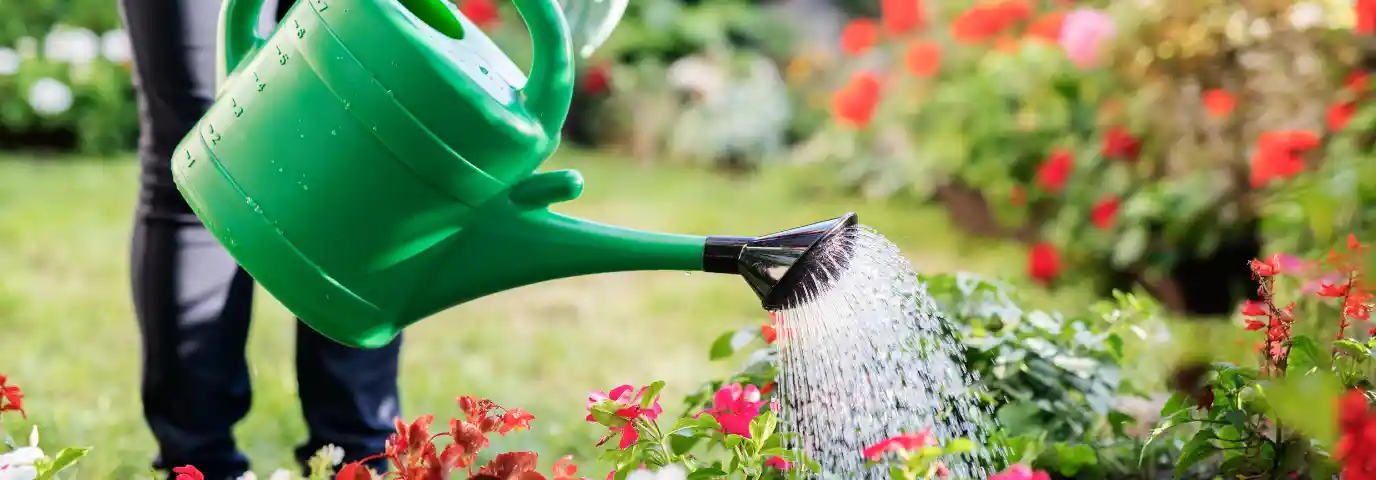 Wasser sparen im Garten: 7 effektive Methoden für nachhaltige Bewässerung