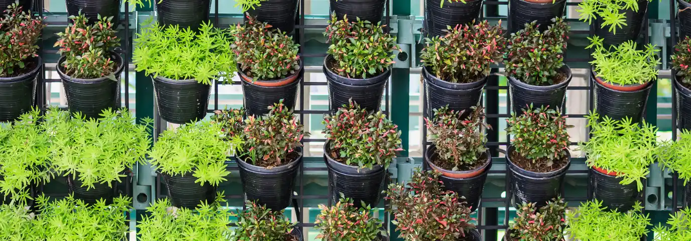 Vertikalen Garten anlegen: Step-by-Step Anleitung für Anfänger