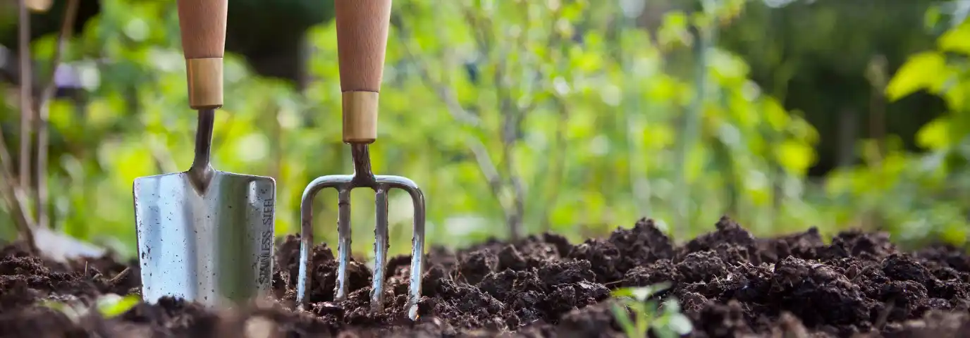 Garten Wertsteigerung: 15% Immobilienwert-Steigerung durch Gartengestaltung