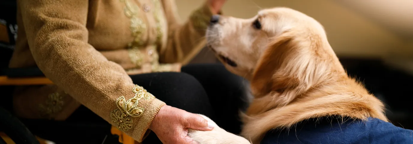 Tiergestützte Therapie in der Pflege: Wirkung, Einsatz & Voraussetzungen