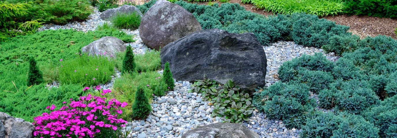 Creating a Drought Garden: Drip Irrigation, Mulch & Plants Used Right