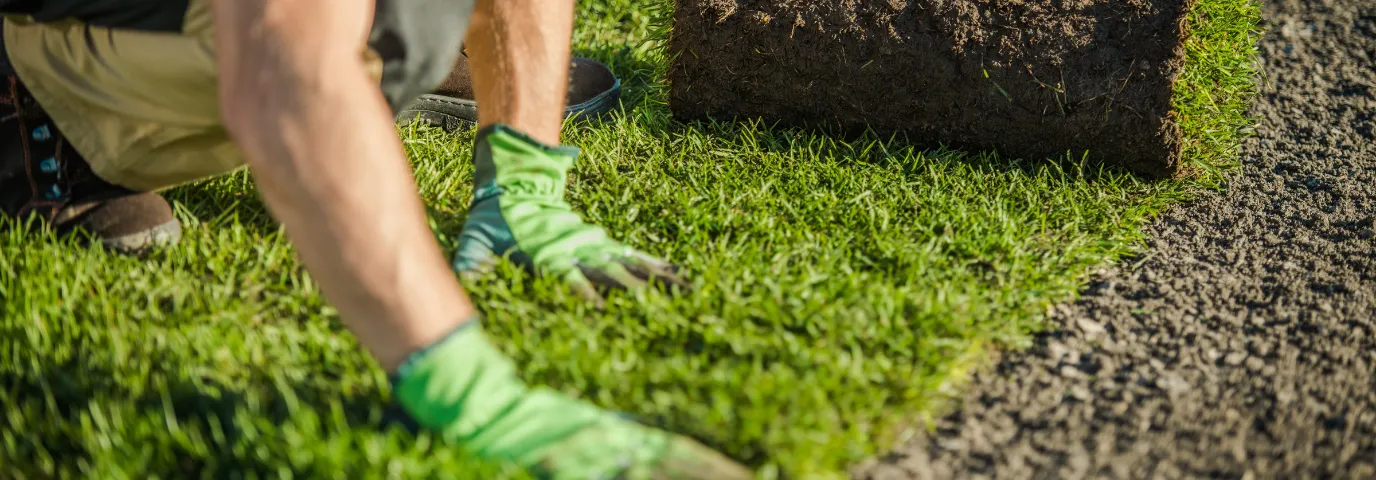 Rasen neu anlegen: Profi-Anleitung für perfekte Rasenflächen
