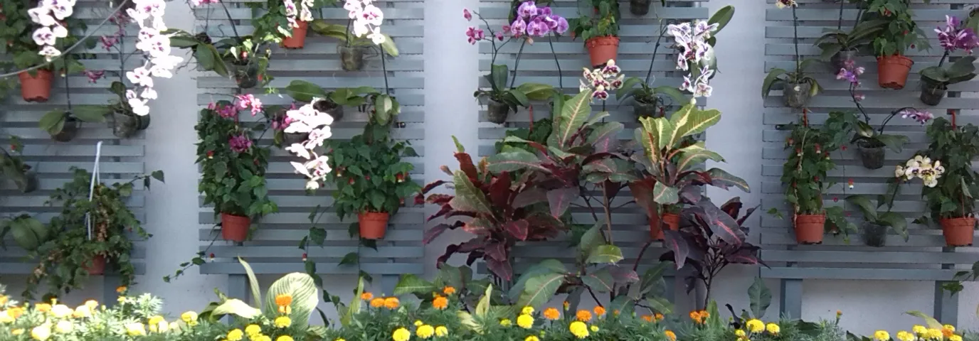 Vertikaler Garten selber bauen: 15 geniale Ideen für grüne Wände