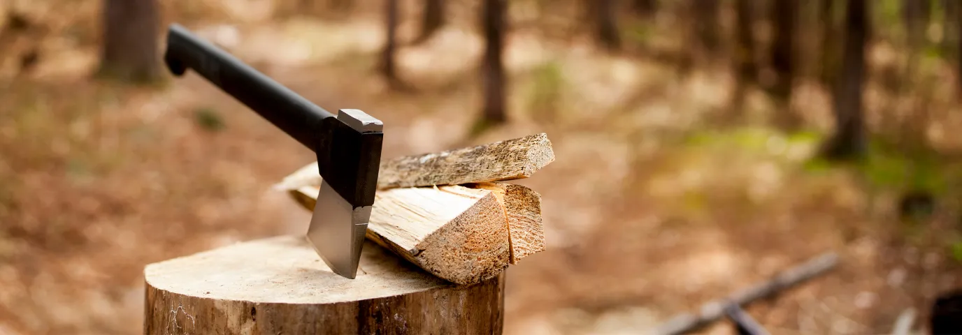 Brennholz kaufen – Der komplette Ratgeber für Qualität & Preise 2025
