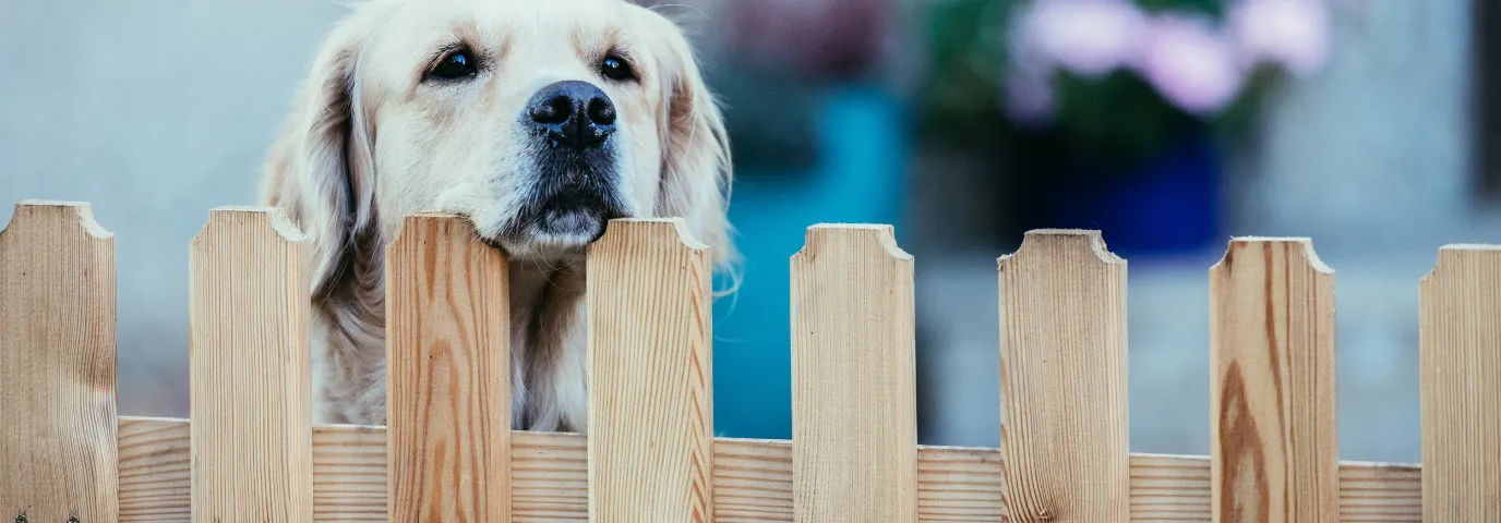 Gartenzaun kaufen: Der komplette Ratgeber zu Kosten, Materialien & Installation