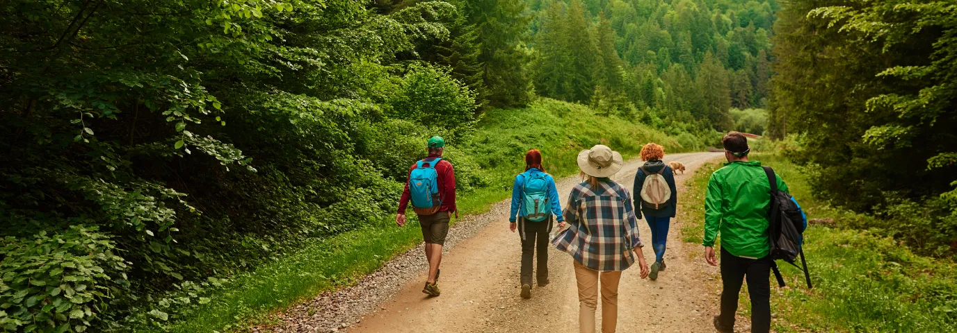 Natur genießen Wirkung: 7 wissenschaftlich bewiesene Gesundheitsvorteile