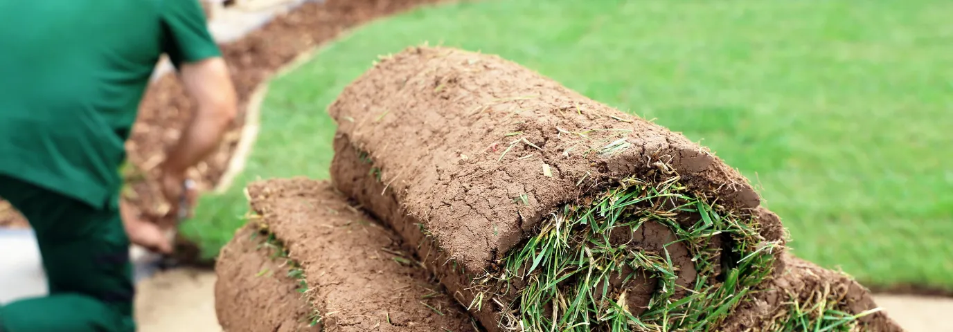 Rollrasen kaufen: Kompletter Ratgeber für Kosten, Verlegung & Pflege