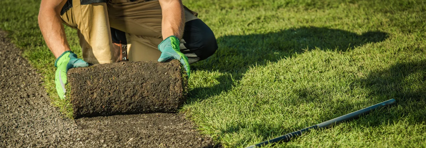 Rollrasen verlegen Kosten 2025: Preise pro qm & versteckte Kosten