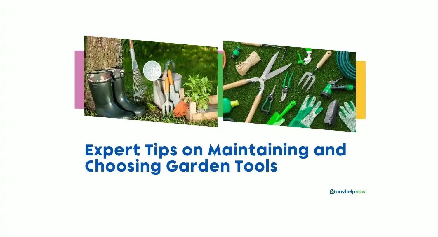 Expert Tips on Maintaining and Choosing Garden Tools