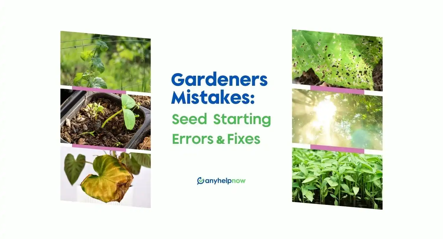 Gardeners Mistakes: Seed Starting Errors & Fixes