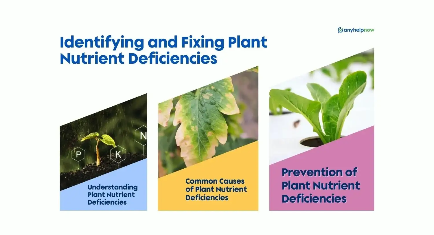 Identifying and Fixing Plant Nutrient Deficiencies