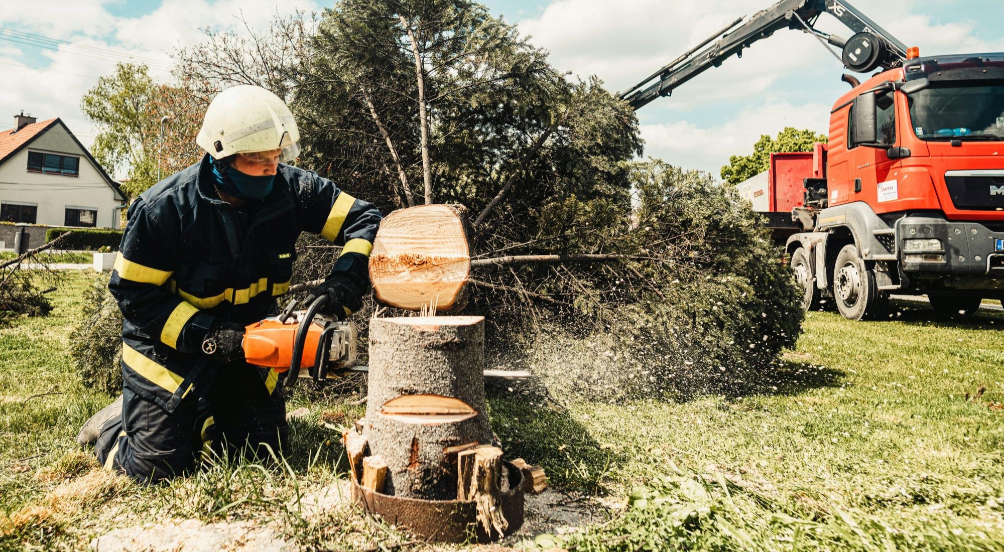 ein Mann in Schutzanzug sägt einen Baum