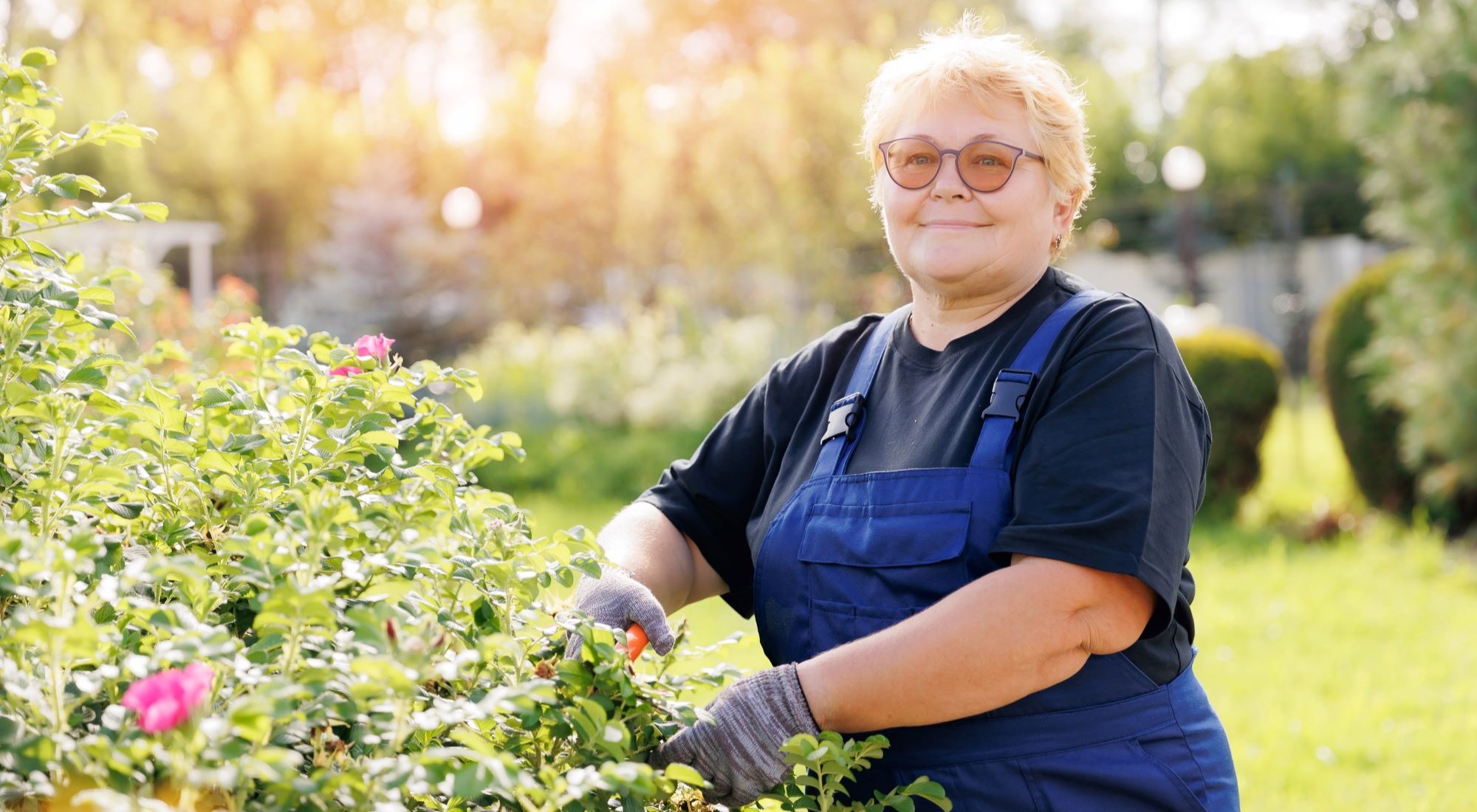 eine ältere Dame kümmer sich um ihre Hecke