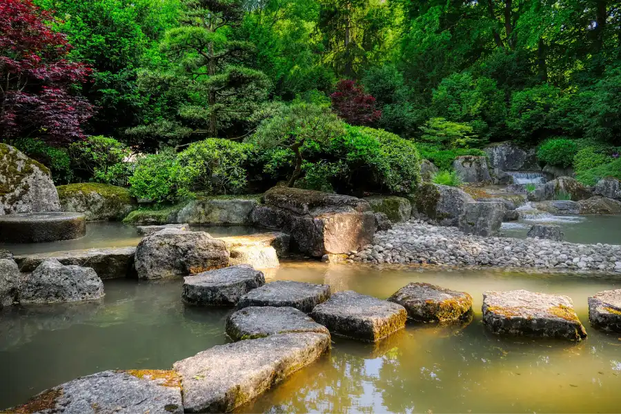 japanischer-garten-mit-wasser-und-steinweg